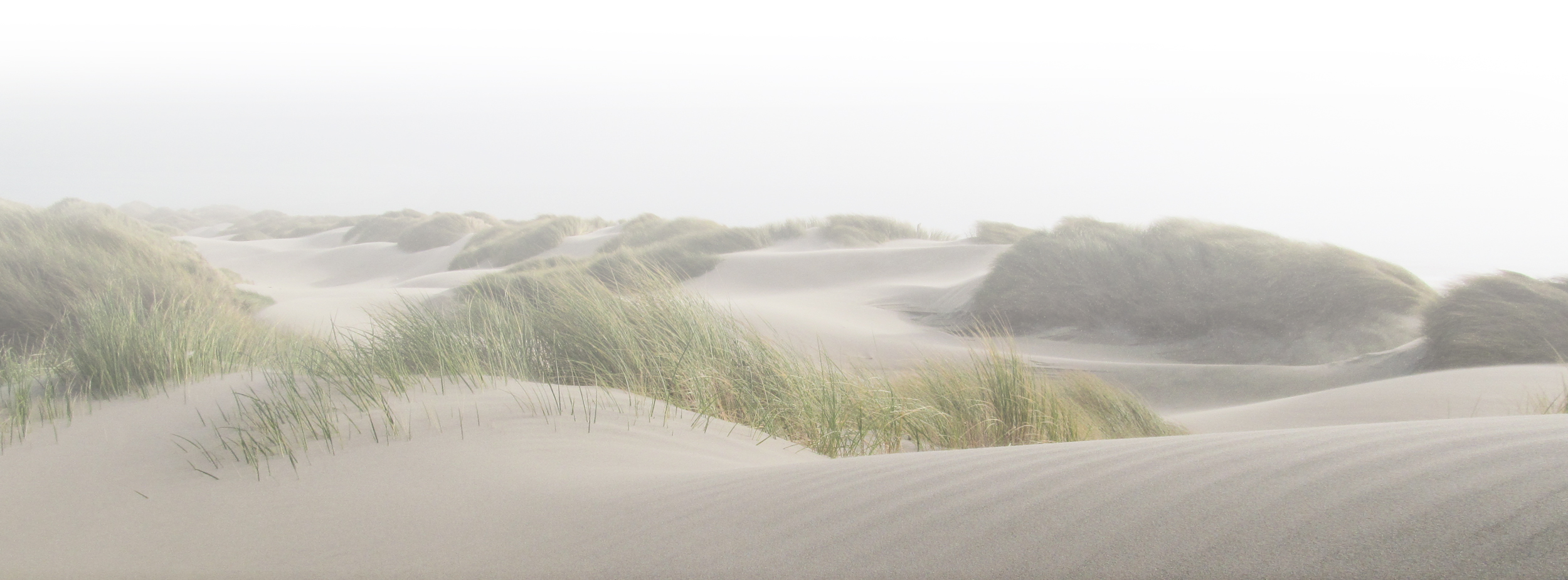 Dunes Footer Background