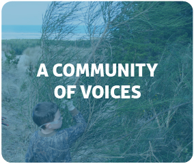 A Community of Voices