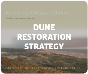 Dune Restoration Strategy