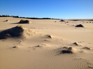 East Heceta Dunes